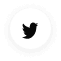 social icon 3